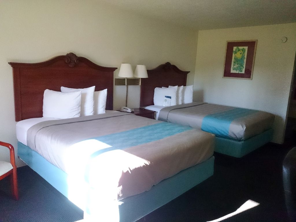 Motel 6-Ocala, Fl - Conference Center Ocala Ridge Rom bilde